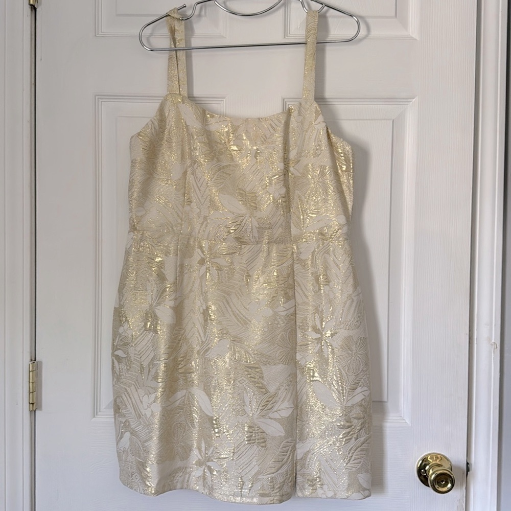 Lulus dress size XL
